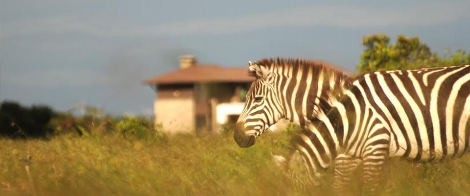 Ol Pejeta Holiday Villas Nanyuki Eksteriør billede