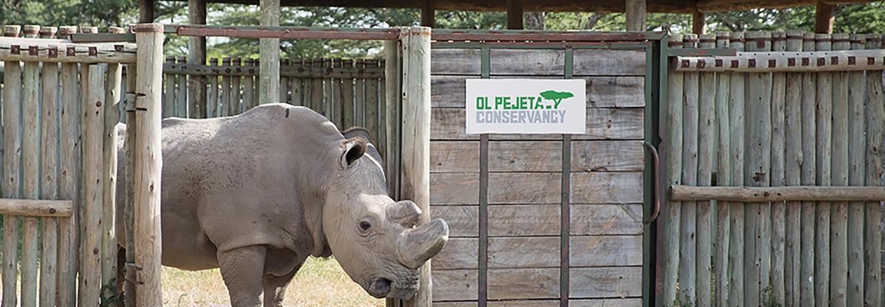 Ol Pejeta Holiday Villas Nanyuki Eksteriør billede